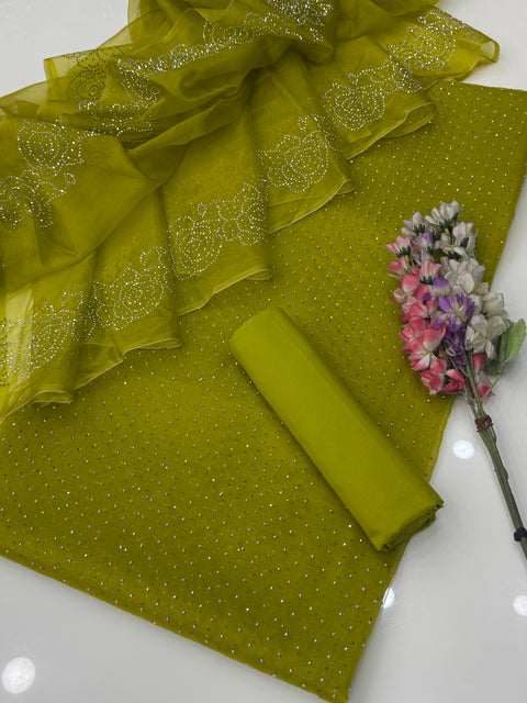 Party Wear Beautiful Stone Work Pure Organza Allover 3 Pc 👗