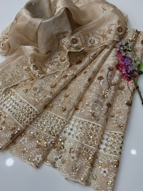 Beautiful Sheesha Silk Sequence & Boring Cut Work 2 Pc Dress 👗