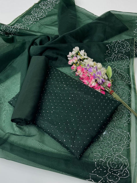 Party Wear Beautiful Stone Work Pure Organza Allover 3 Pc 👗