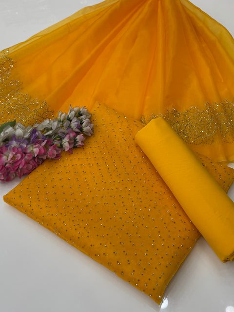 Party Wear Beautiful Stone Work Pure Organza Allover 3 Pc 👗