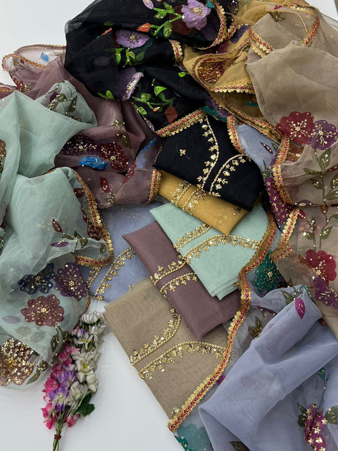 Handwork Stones And Beads Work Oil Painted 🎨 Organza 2 Pc Dress 👗