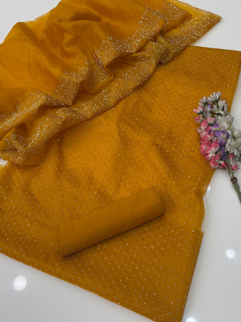 Party Wear Beautiful Stone Work Pure Organza Allover 3 Pc 👗