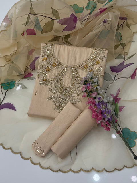 ❤️ EID Special Handwork Paint 🎨 Lawn With Organza 3 Pc Dress 👗