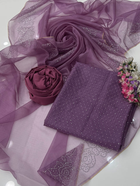 Party Wear Beautiful Stone Work Pure Organza Allover 3 Pc 👗