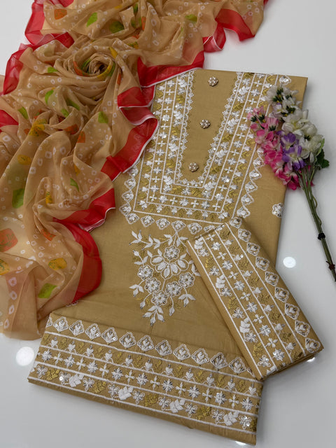 Beautiful & Elegant Boutique Fancy Sequence Embroidery 🧵 3 PC Suit